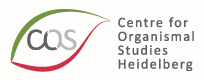 Centre for Organismal Studies Heidelberg